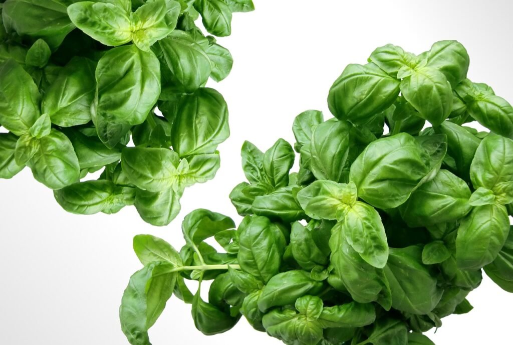 basil puns