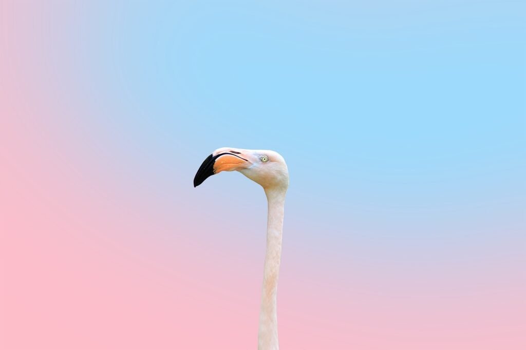 flamingo puns for instagram