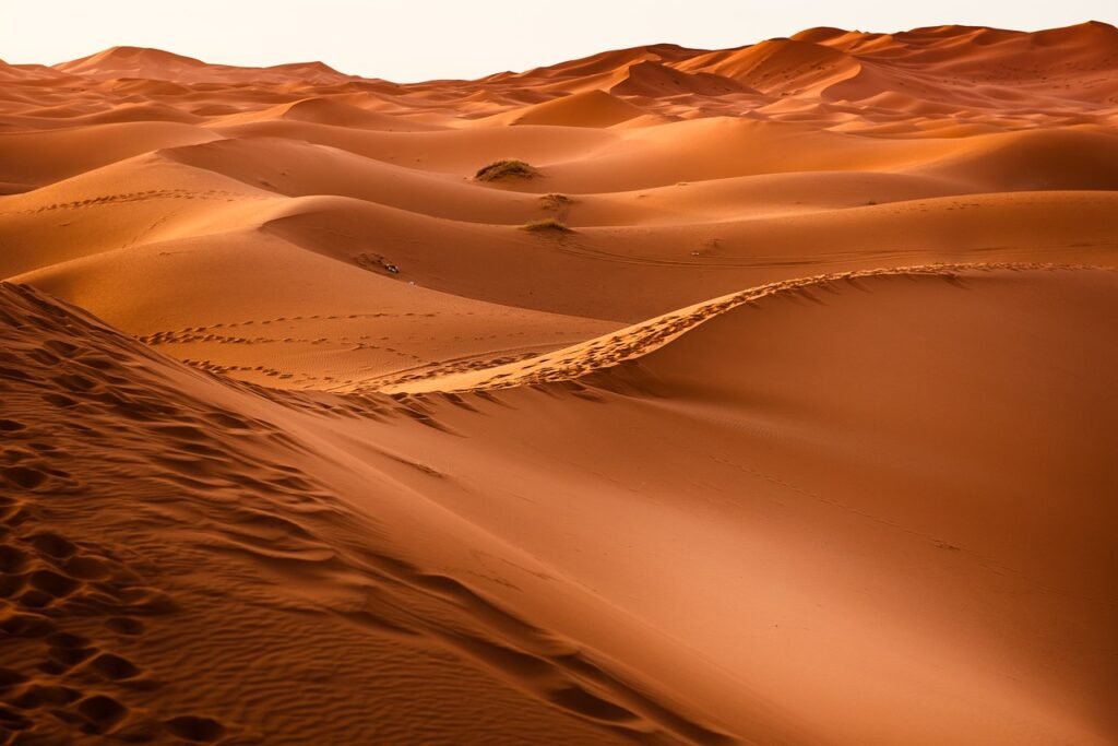 desert pun