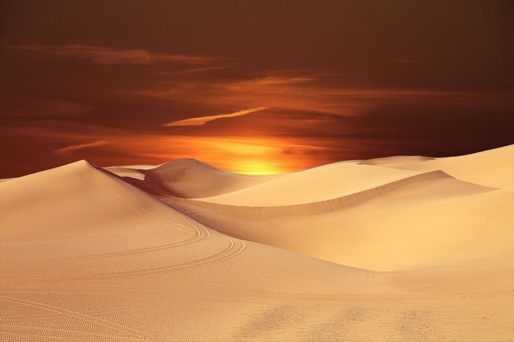funny desert