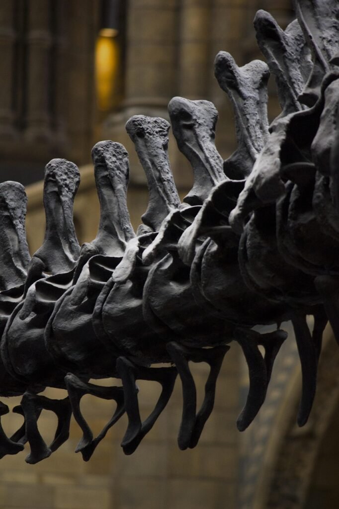 bone puns