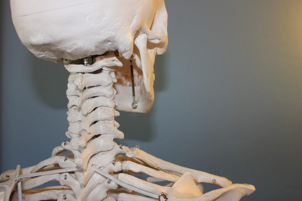 bone pun
