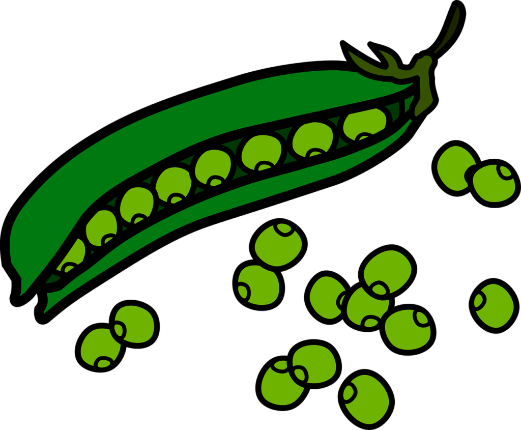 pea puns