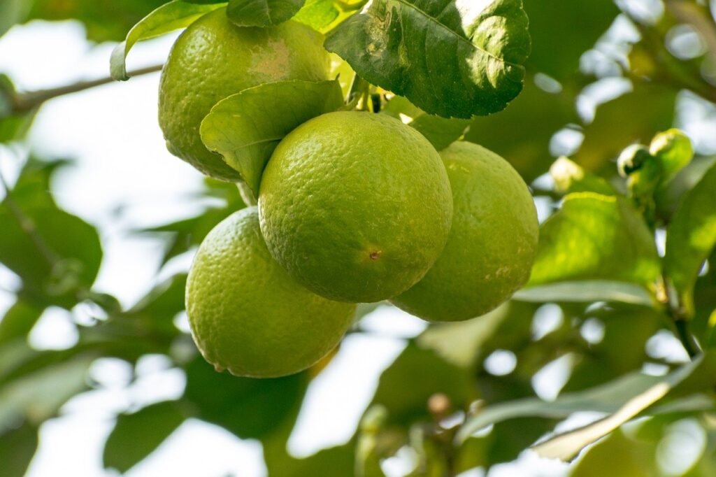 lime joke