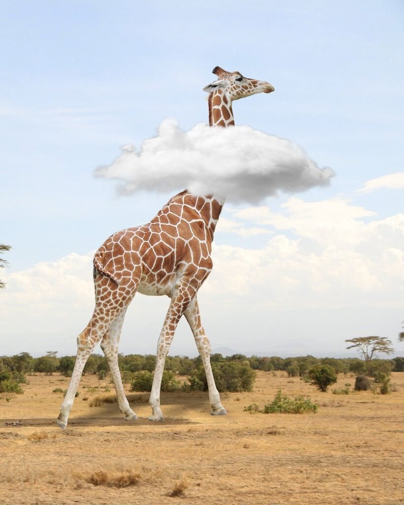 Giraffe Jokes