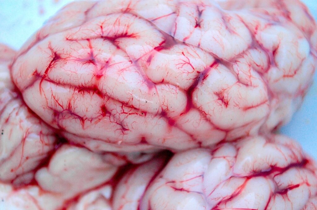 brain puns