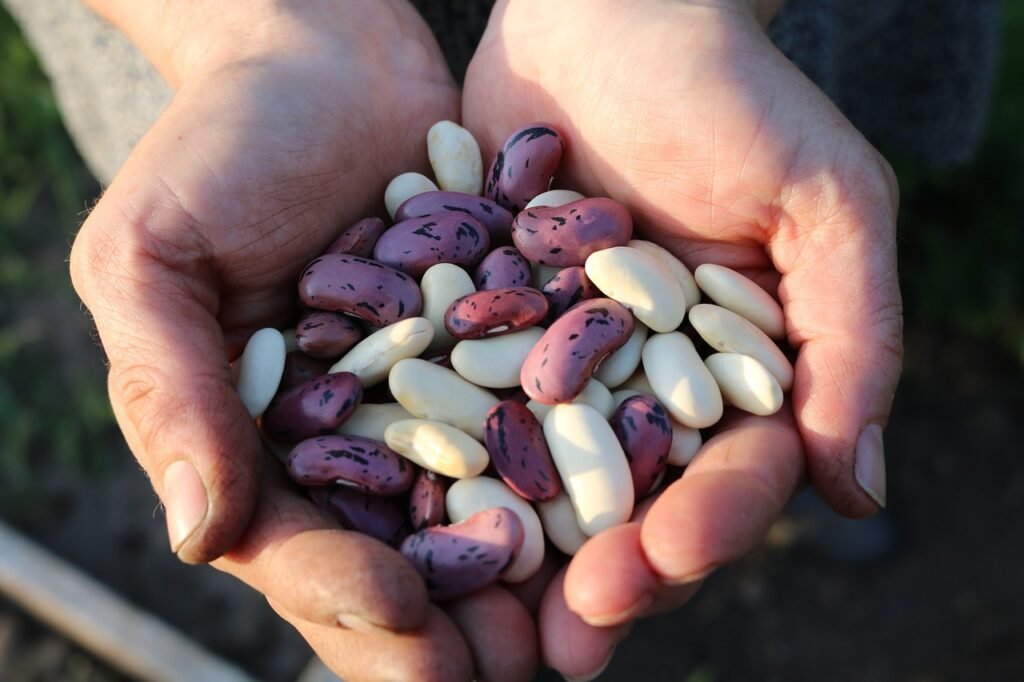 bean puns