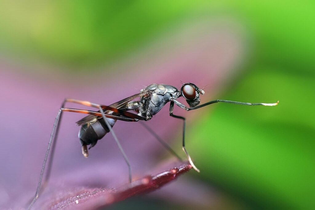 ant puns