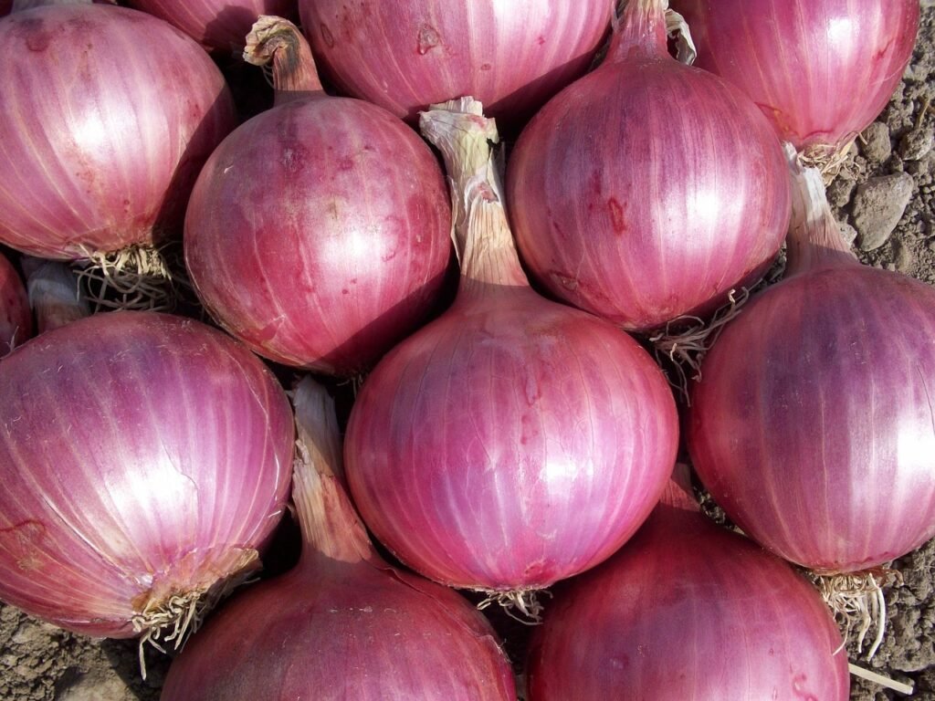 onion puns