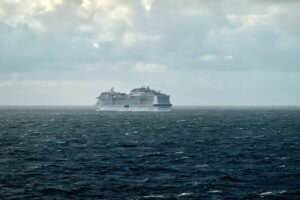 cruise puns