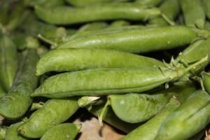 pea puns