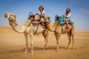 camel jokes
