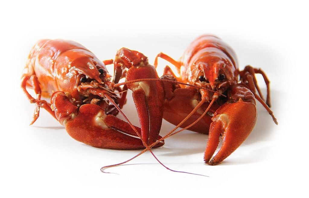 Crawfish Jokes