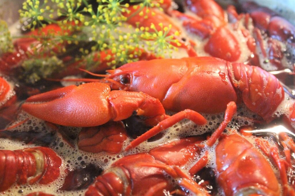 Crawfish Jokes