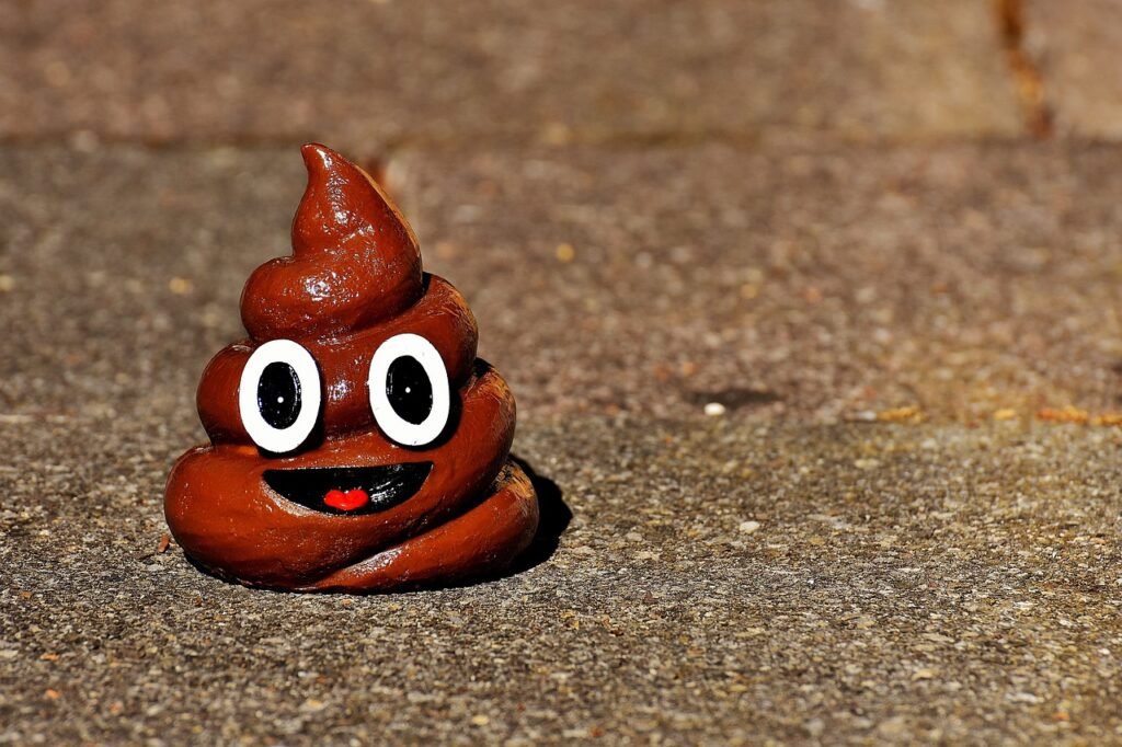 poop jokes for adults