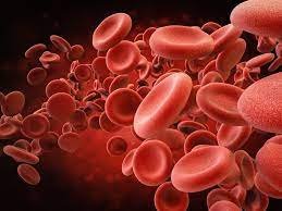 blood jokes