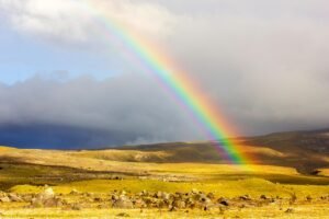 rainbow puns
